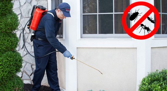 Havza Dezenfeksiyon böcek ilaçlama ve haşere kontrolü — ilaclama-tr.com